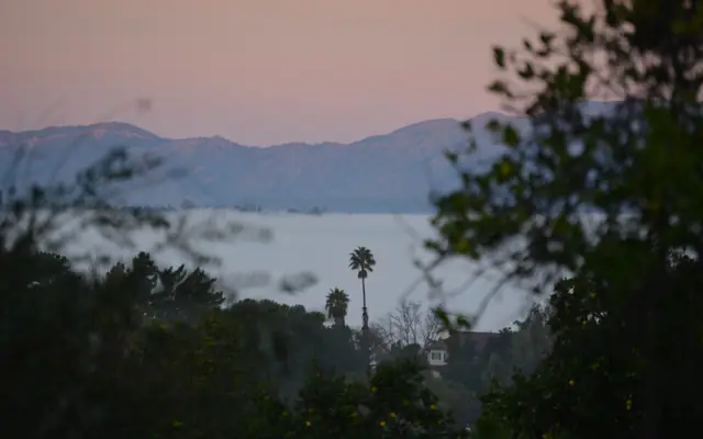 Fog filling the valley below the mountains at sunrise, with palm trees, a house and fruit trees, seen from Bonsall