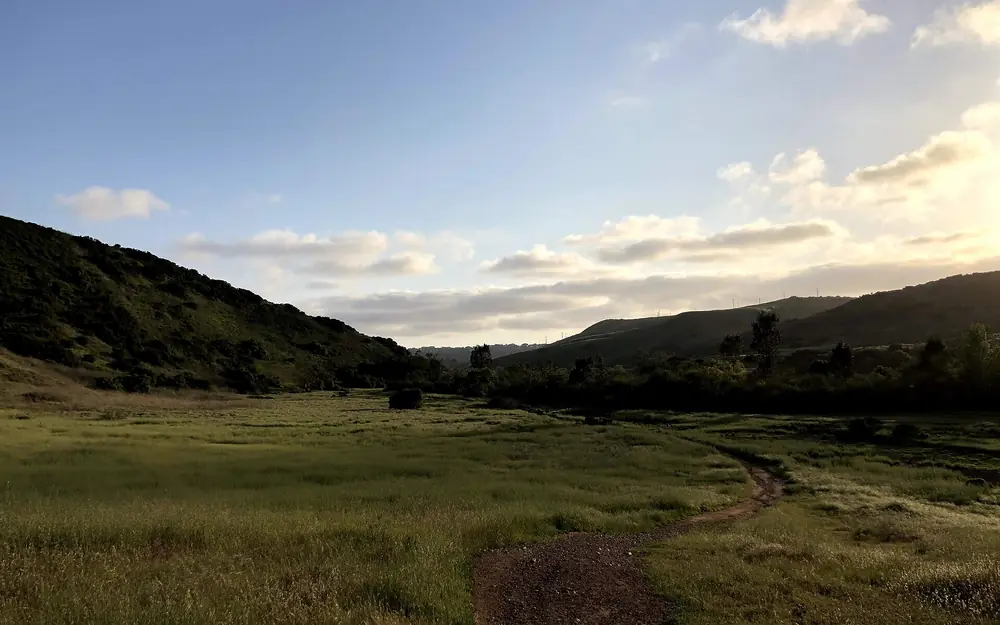 A dirt trail through a green valley in the Carmel Valley neighborhood of San Diego