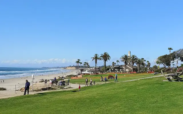 The lawn and palm trees of Powerhouse Park above the beach in Del Mar