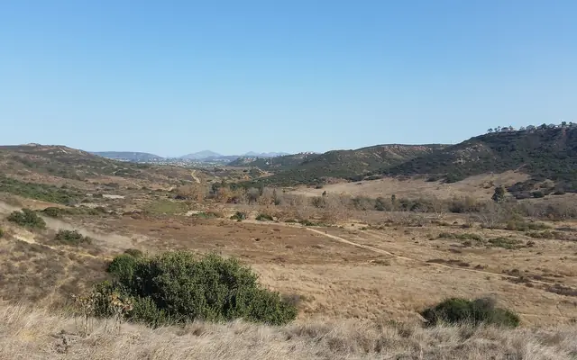 Grassland and hills in Los Peñasquitos Canyon Preserve