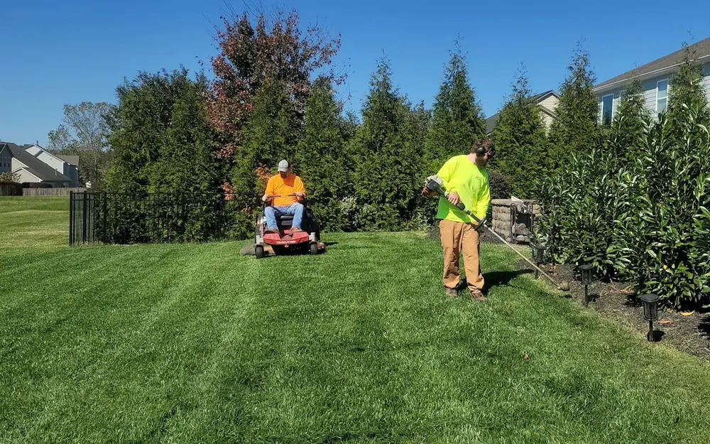 Two landscapers mowing and trimming a lawn beside a hedge